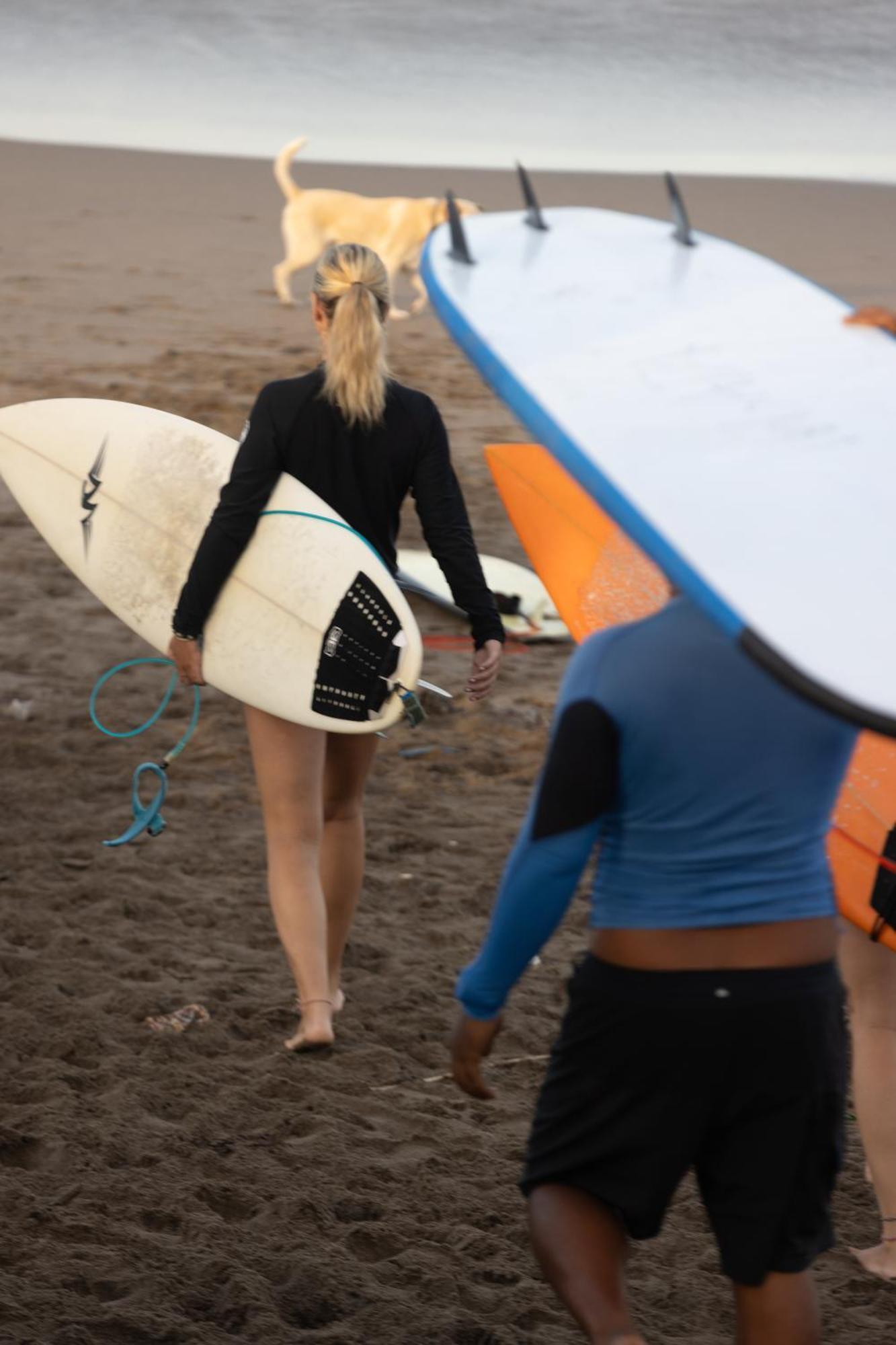 Zentiga Surf Hostel 캉구 외부 사진